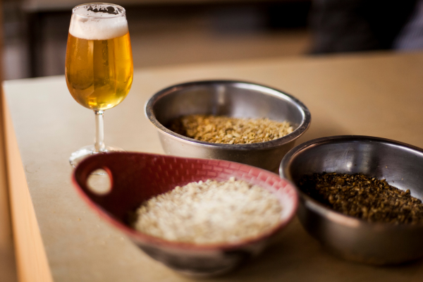 Como harmonizar cervejas artesanais com queijos: guia completo